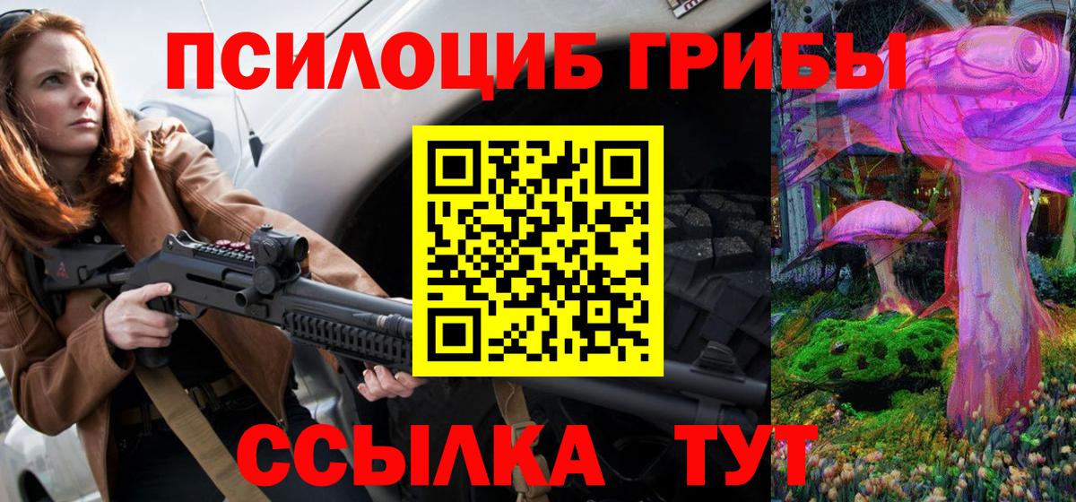 Галлюциногенные грибы Cubensis Малгобек